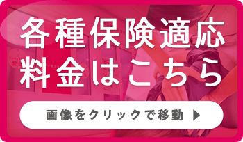 各種保険適応料金