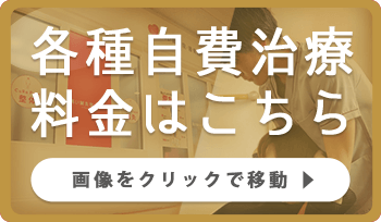 各種自費治療料金